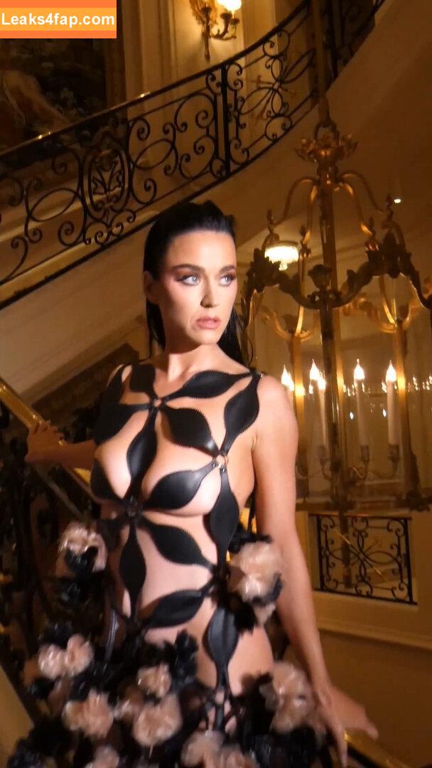 Katy Perry / katyperry leaked photo photo #1692