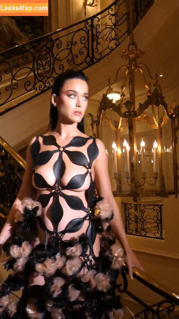 Katy Perry / katyperry leaked photo photo #1693
