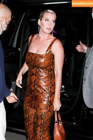 Katy Perry photo #1012