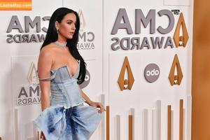 Katy Perry photo #1611