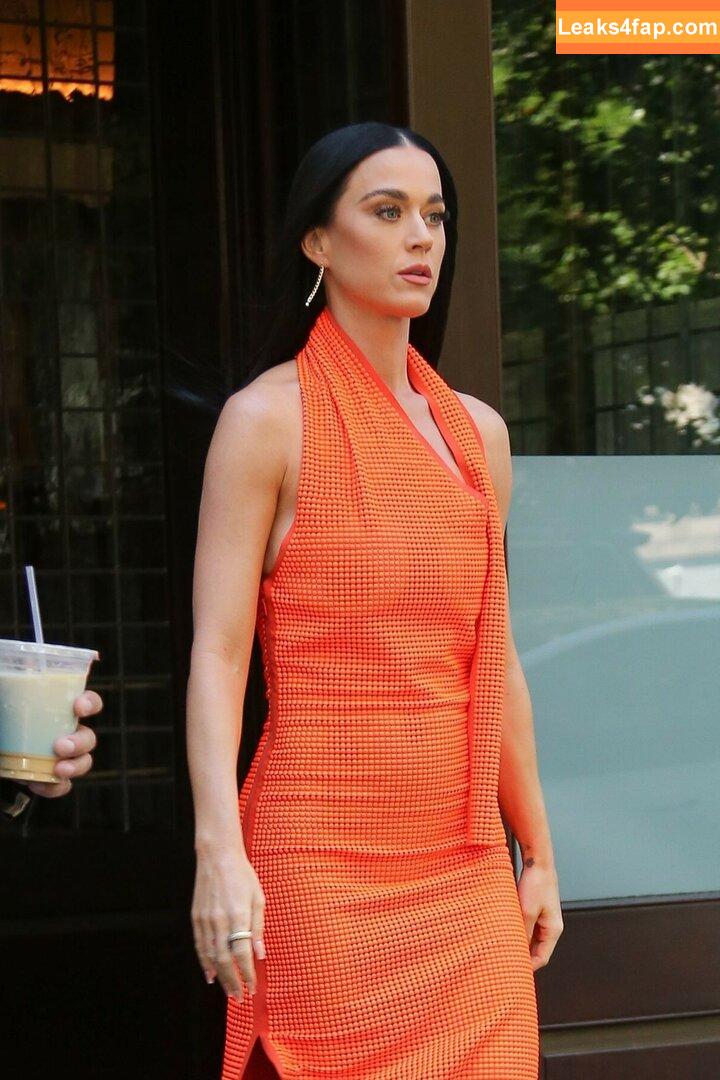 Katy Perry / katyperry leaked photo photo #2002