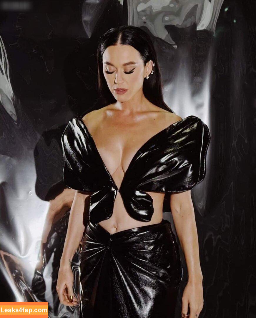 Katy Perry / katyperry слитое фото фото #2012