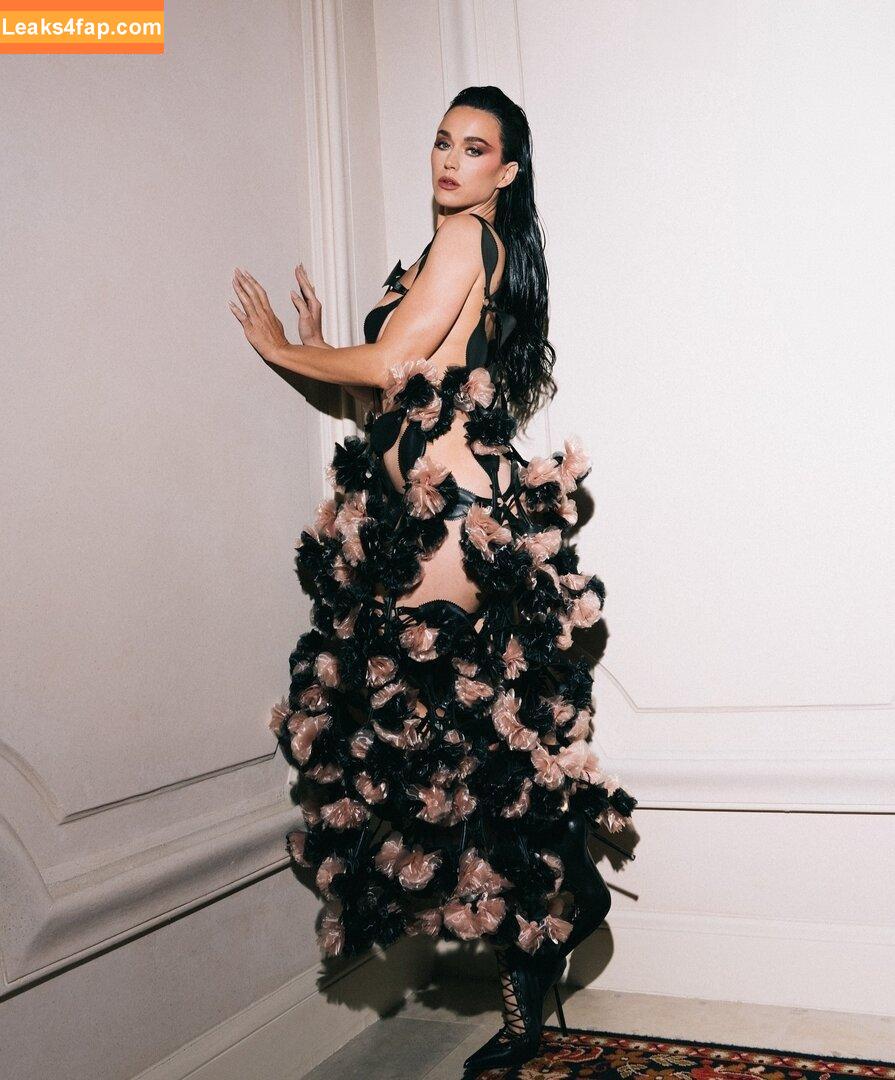 Katy Perry / katyperry слитое фото фото #2071