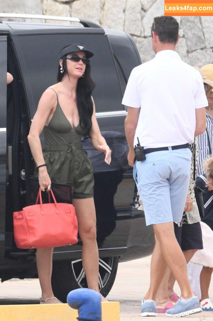 Katy Perry / katyperry слитое фото фото #2247