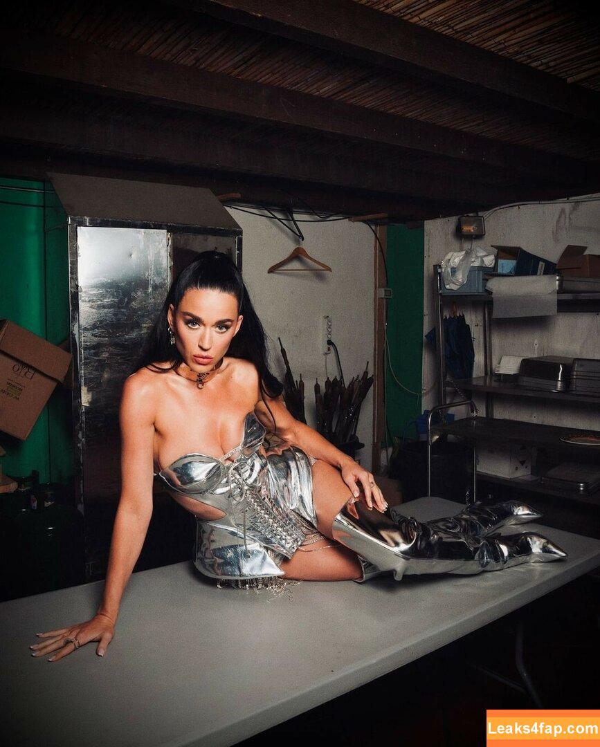 Katy Perry / katyperry слитое фото фото #2484