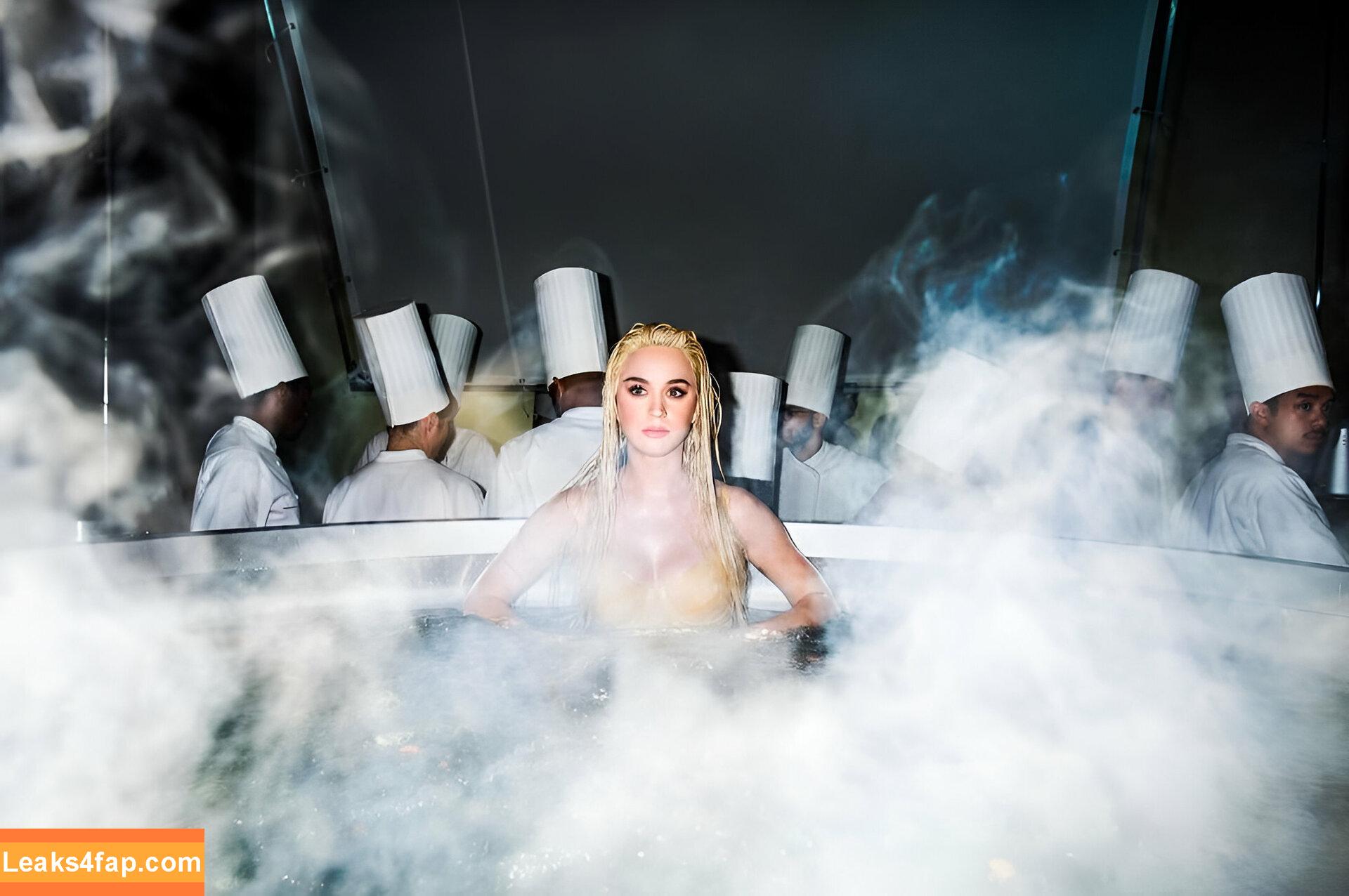 Katy Perry / katyperry слитое фото фото #2670