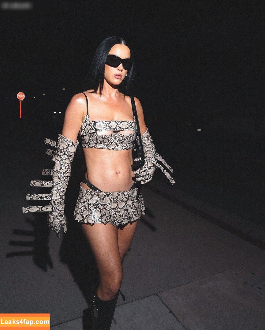 Katy Perry / katyperry слитое фото фото #2758