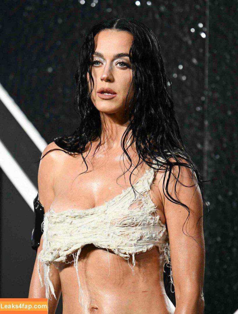 Katy Perry / katyperry слитое фото фото #3046