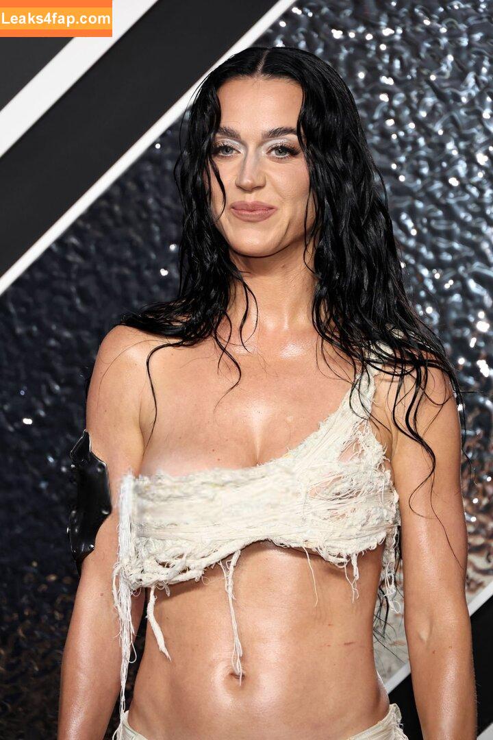 Katy Perry / katyperry слитое фото фото #3050