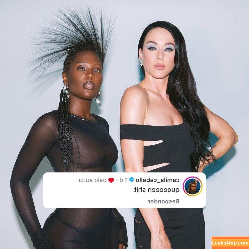 Katy Perry / katyperry слитое фото фото #3068