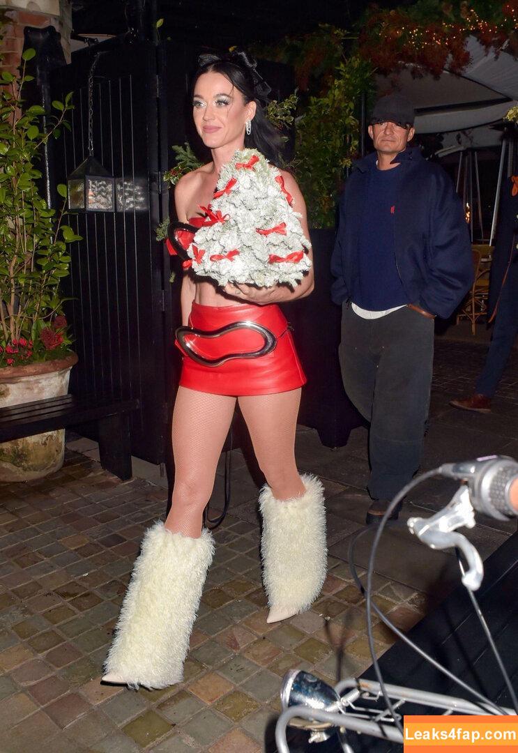 Katy Perry / katyperry слитое фото фото #3560