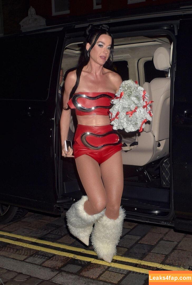 Katy Perry / katyperry слитое фото фото #3562