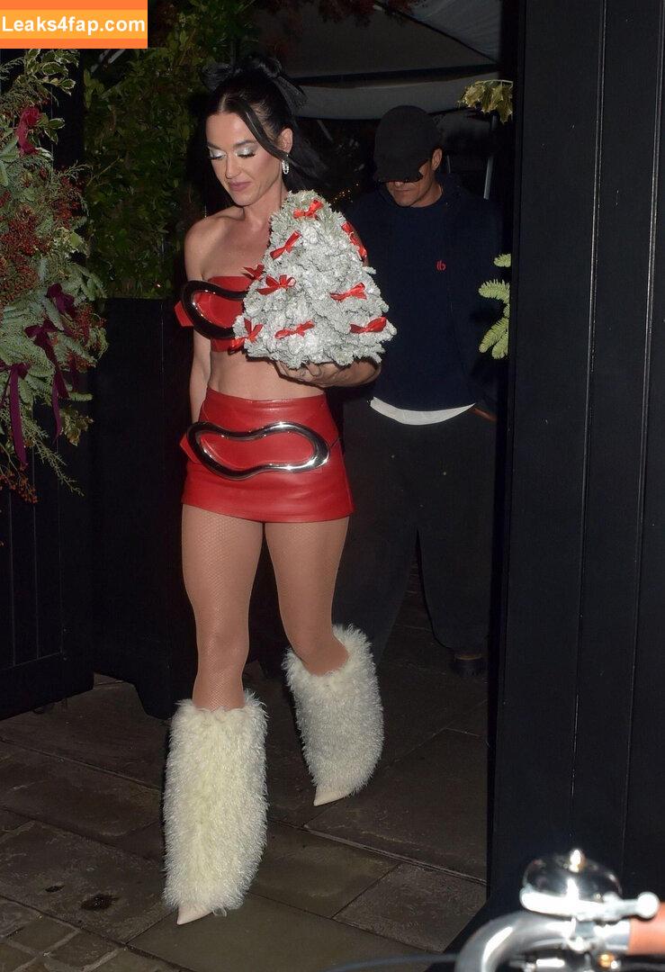 Katy Perry / katyperry слитое фото фото #3563