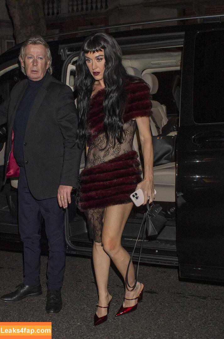 Katy Perry / katyperry слитое фото фото #3596