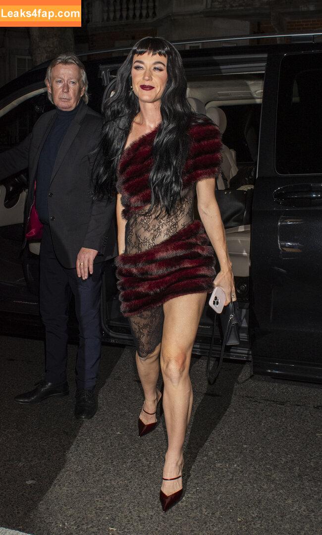 Katy Perry / katyperry слитое фото фото #3599