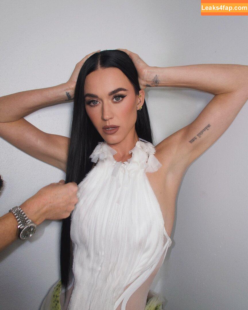 Katy Perry / katyperry leaked photo photo #3914