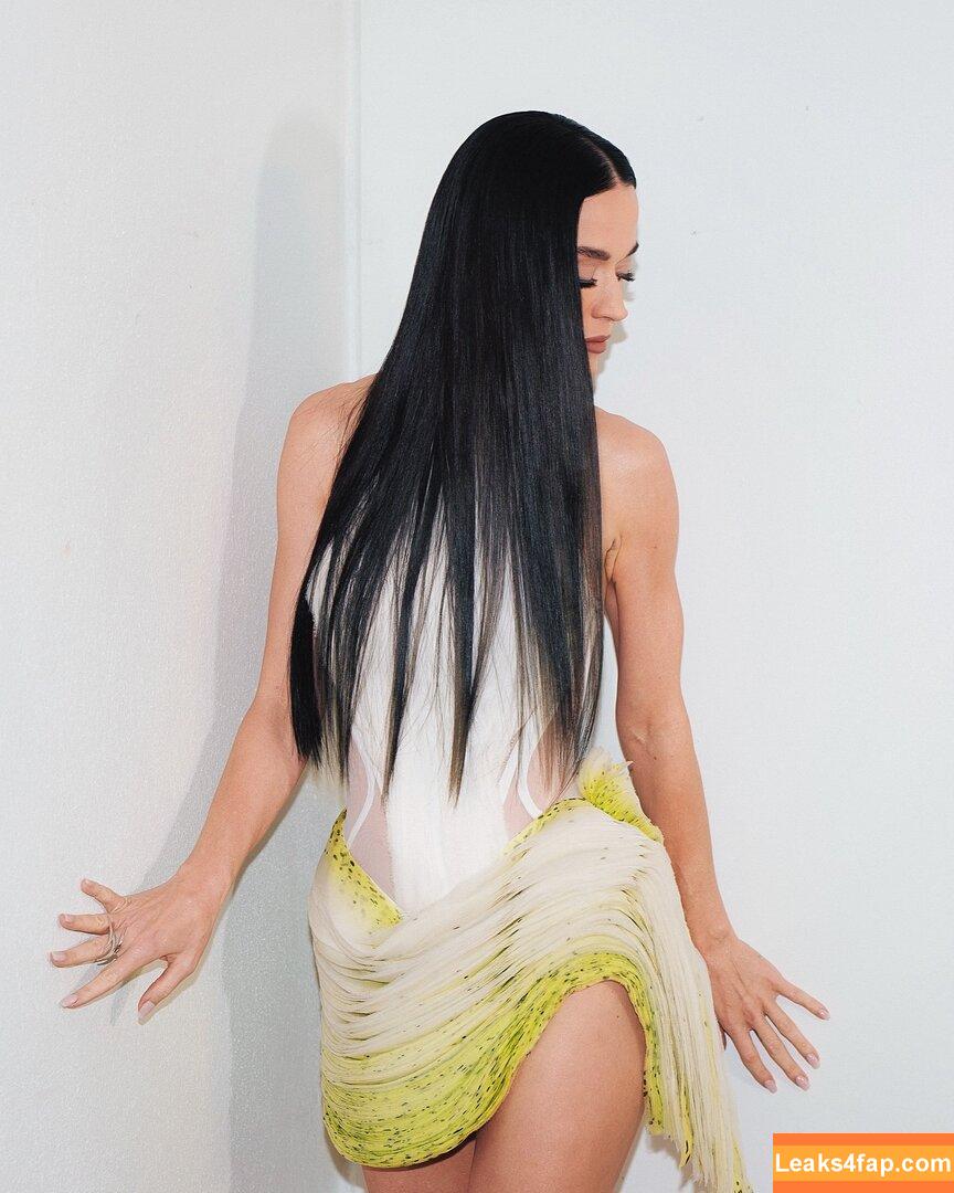 Katy Perry / katyperry leaked photo photo #3915