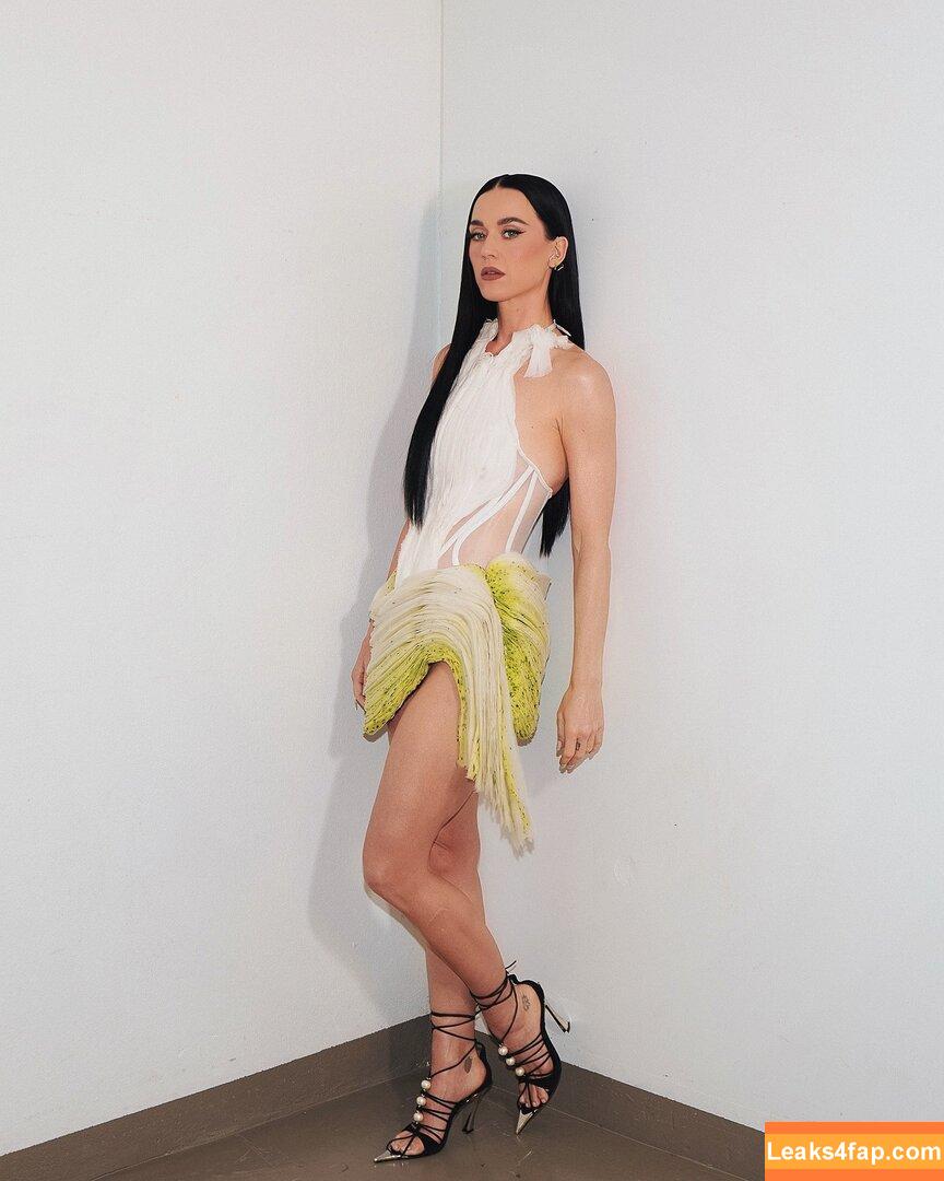 Katy Perry / katyperry leaked photo photo #3917