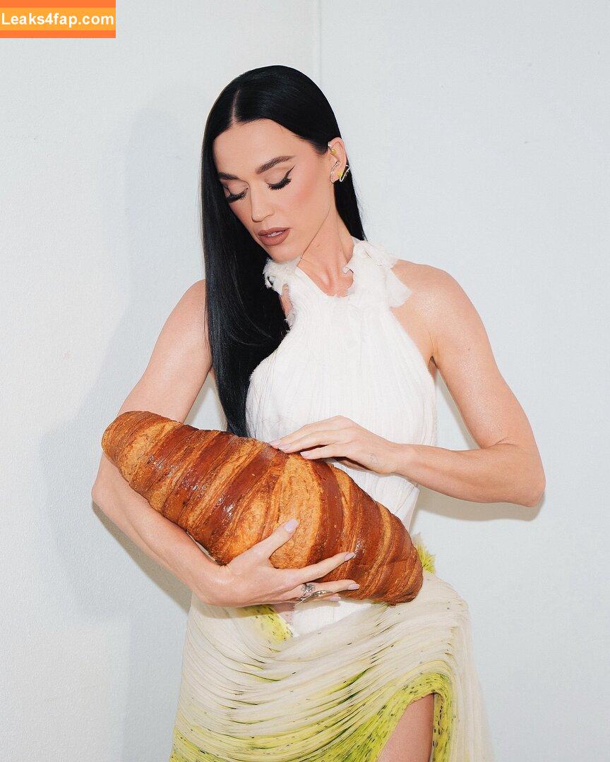 Katy Perry / katyperry leaked photo photo #3918