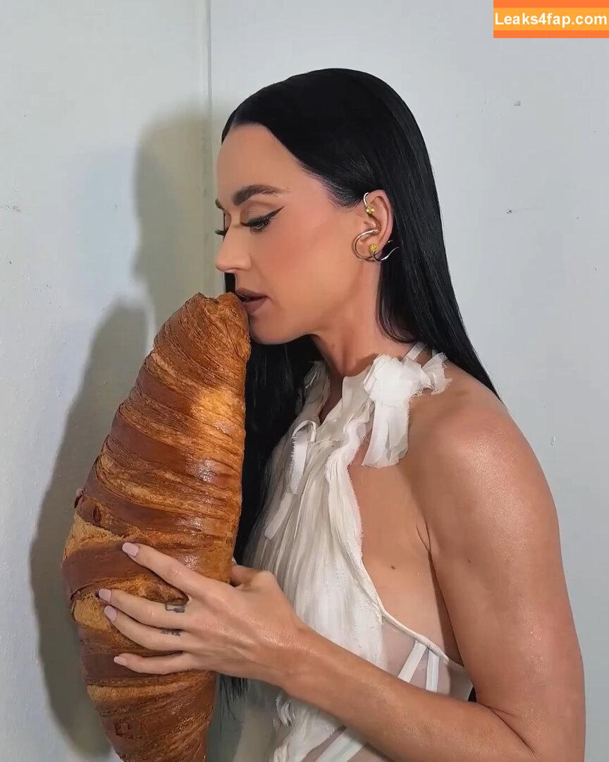 Katy Perry / katyperry leaked photo photo #3919