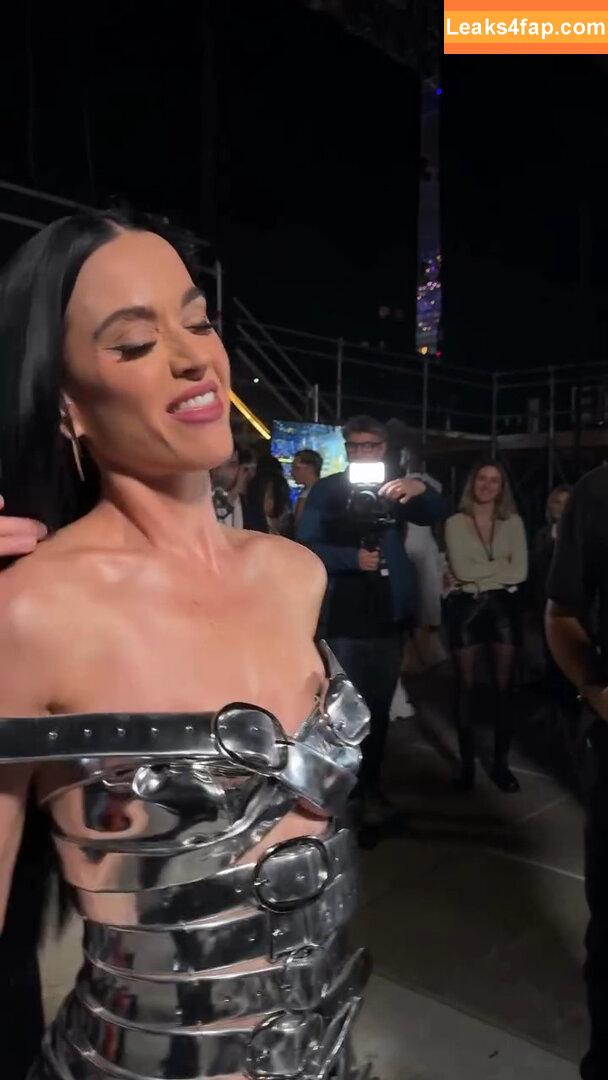 Katy Perry / katyperry leaked photo photo #3958