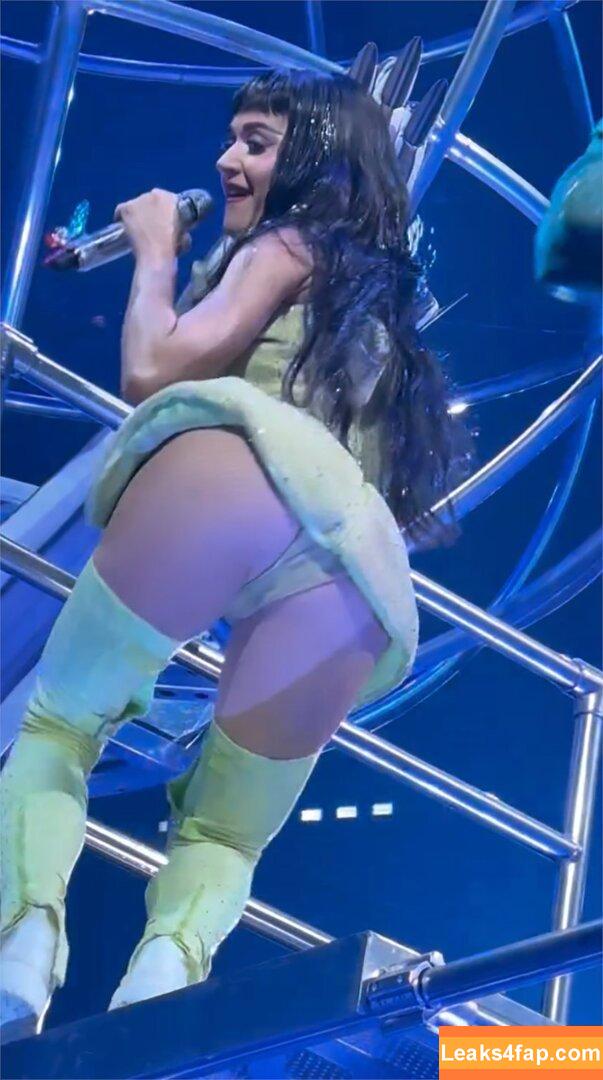 Katy Perry / katyperry leaked photo photo #4210