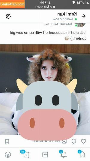 Kawaiikalikun photo #0013