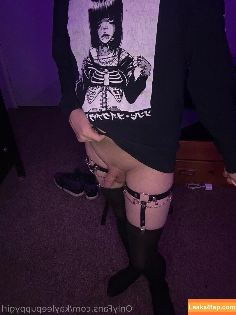 kayleepuppygirl / kayleepiv leaked photo photo #0008