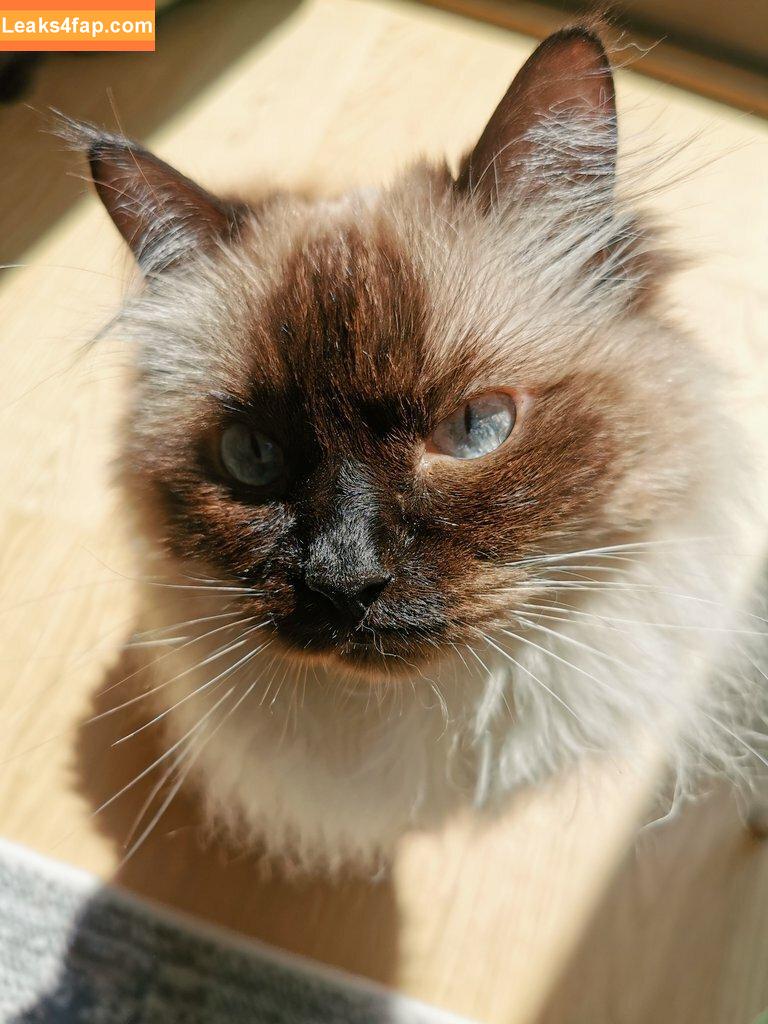 Keekihime / The Ex Idol leaked photo photo #0142