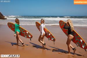 Kelly Collins photo #0669