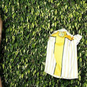 Kelly Holliver photo #0098