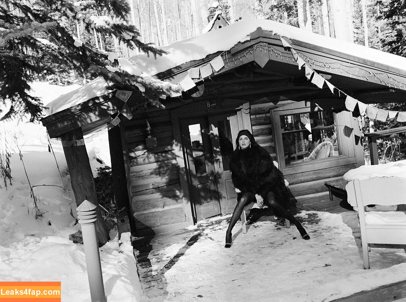 Kendall Jenner / KendallJenner слитое фото фото #1787