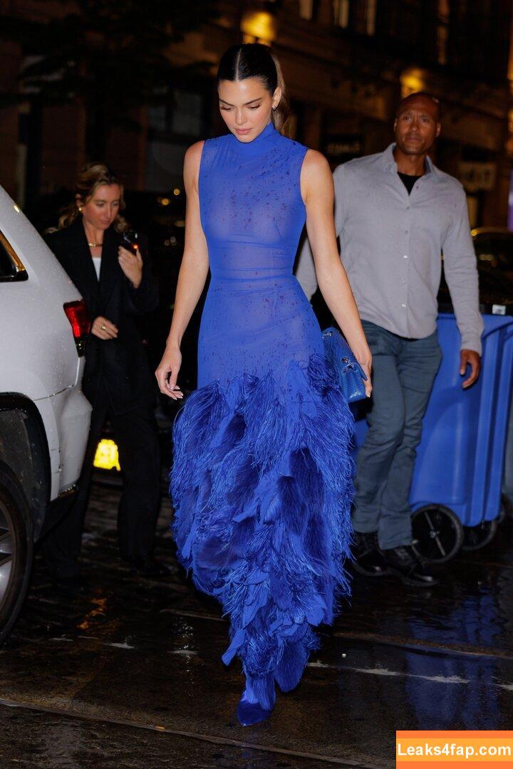 Kendall Jenner / KendallJenner слитое фото фото #2453