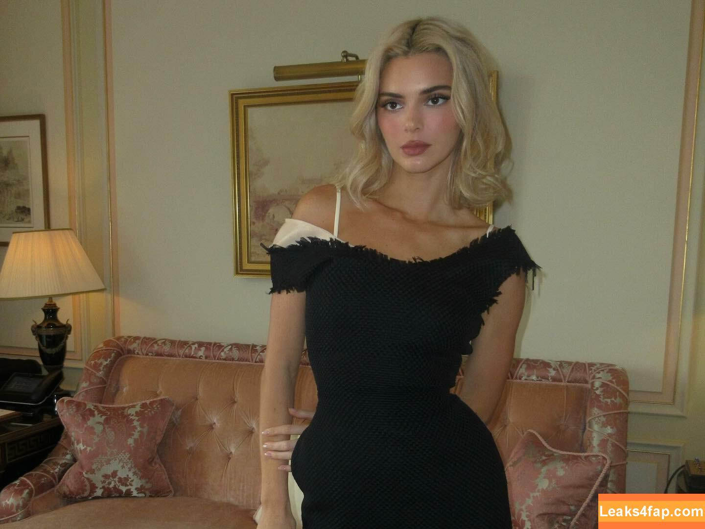 Kendall Jenner / KendallJenner слитое фото фото #3150