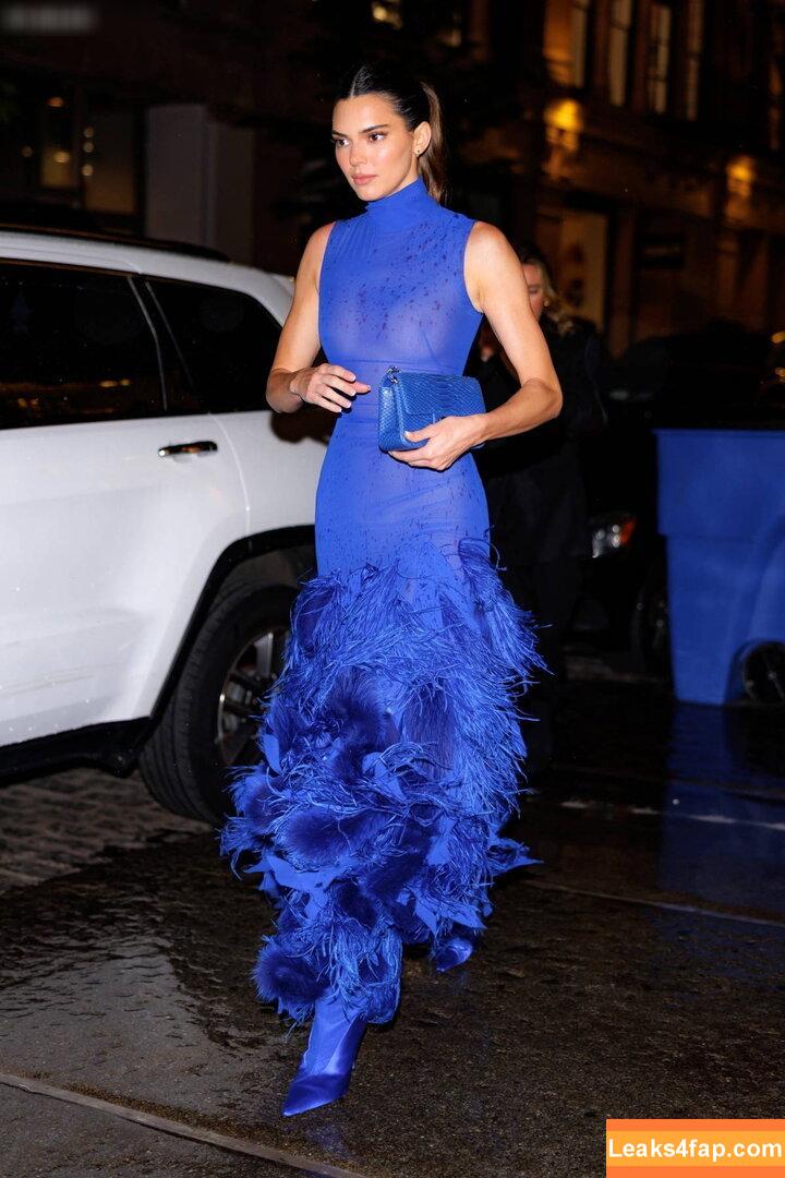 Kendall Jenner / KendallJenner слитое фото фото #3209