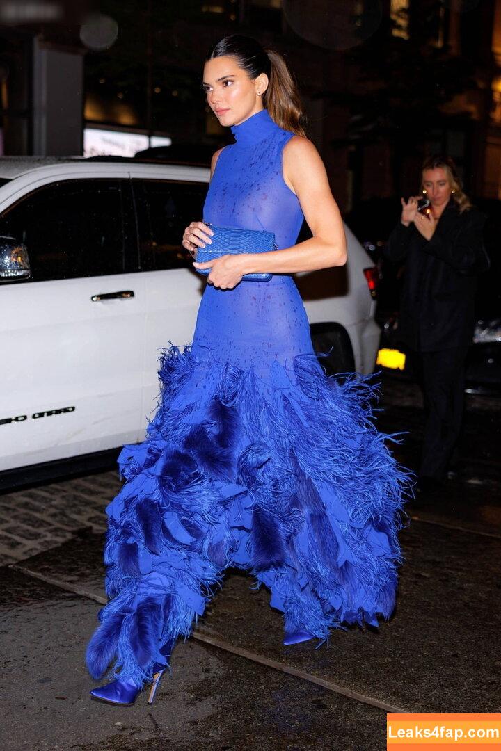 Kendall Jenner / KendallJenner слитое фото фото #3215