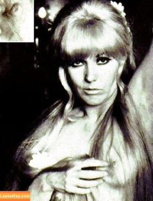 kimnovak фото #0004