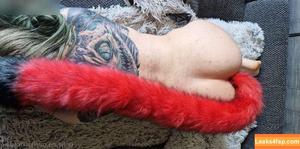 Kinkikitsune photo #0041