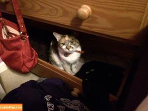 kirabee photo #0872