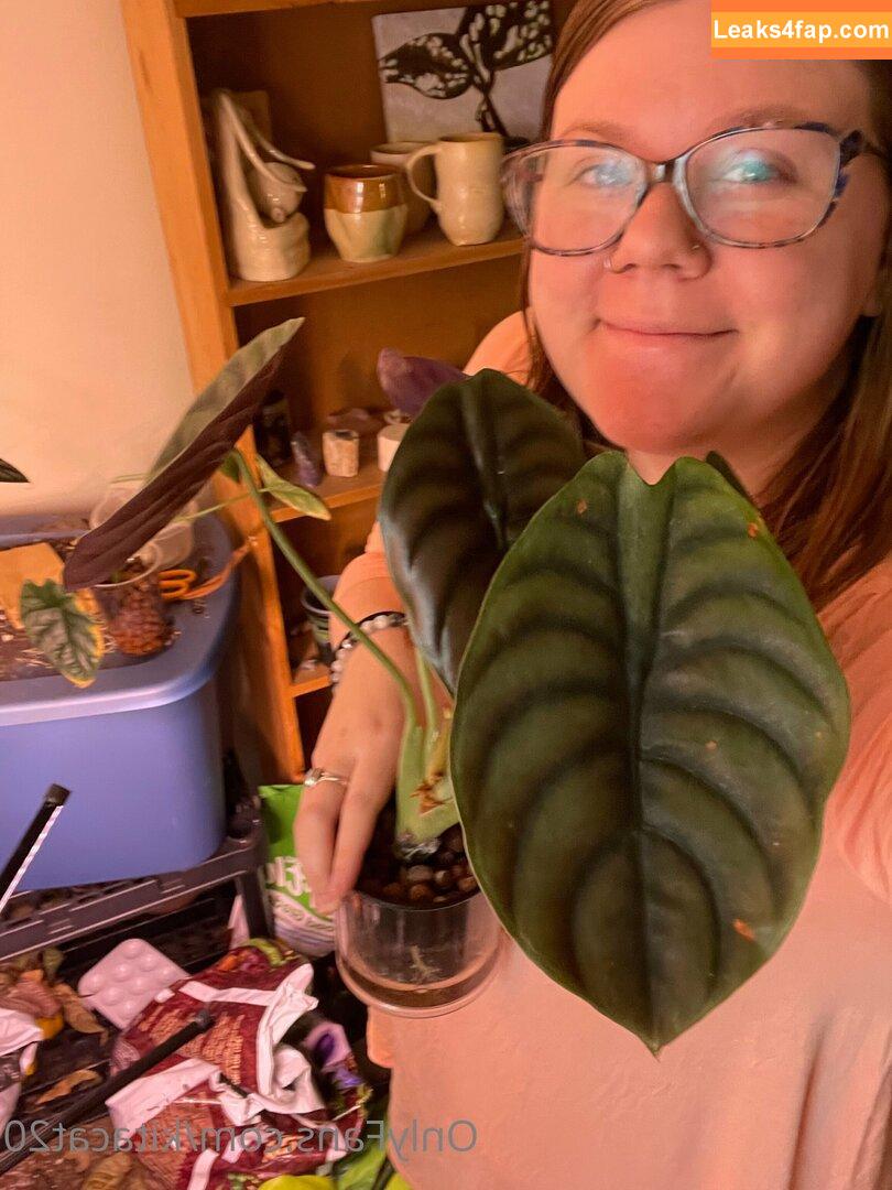 kitacat20 / kitcatchat слитое фото фото #0008