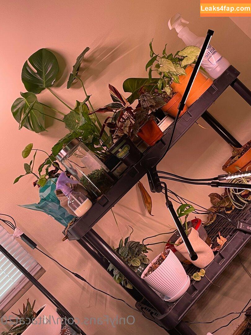 kitacat20 / kitcatchat слитое фото фото #0012