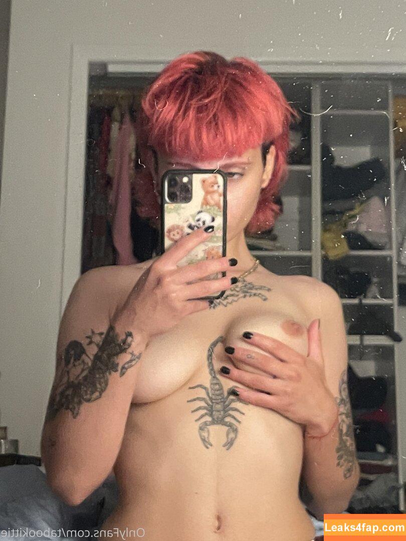 kittens0ft / reel leaked photo photo #0012