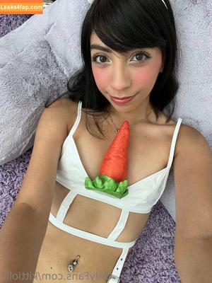 Kittiolic photo #0095