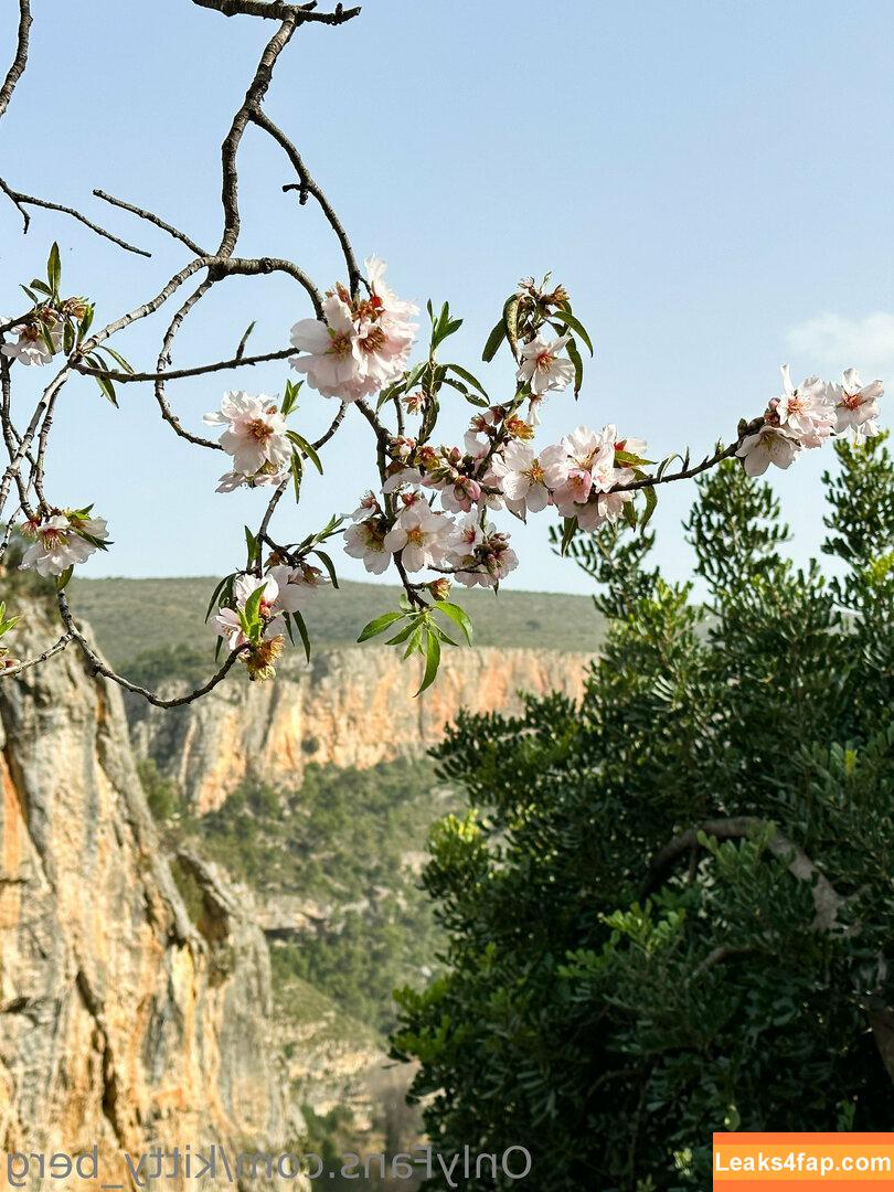 Kitty Berg / kitty_berg / kittyberg слитое фото фото #0212