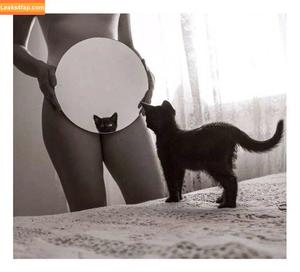 Kitty Cat photo #0009