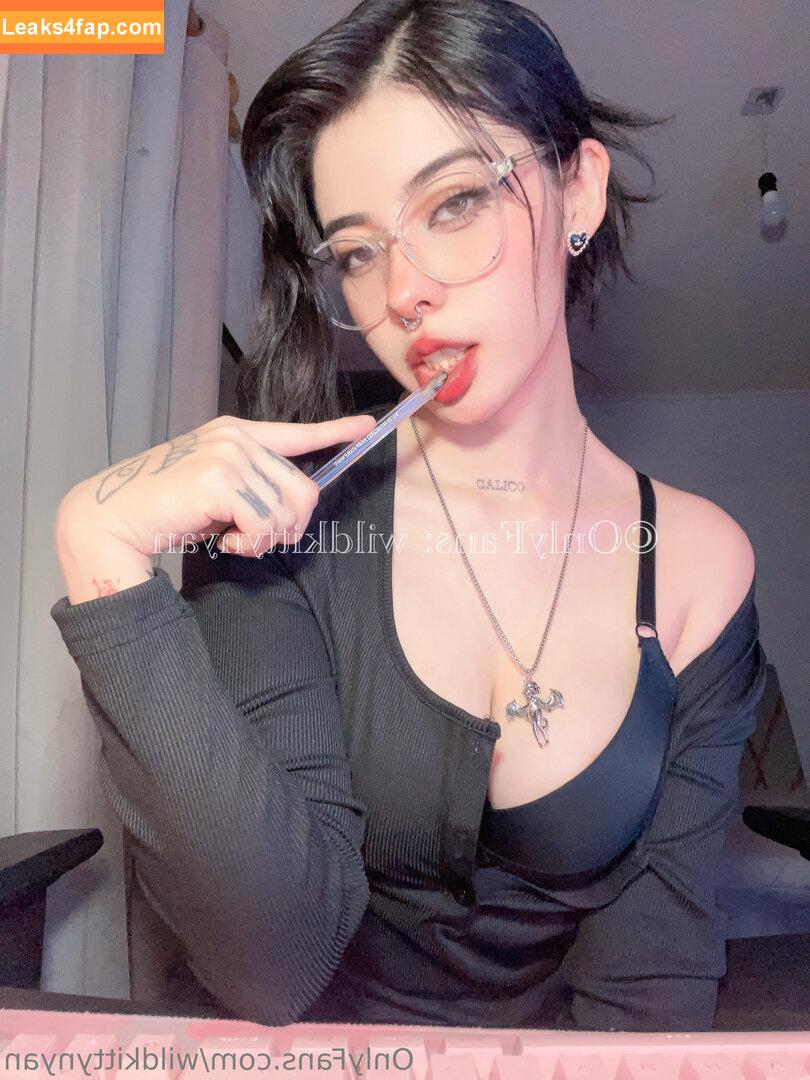Kittymeichi / Kittymeichiuwu / Mei Ichikawa leaked photo photo #0279