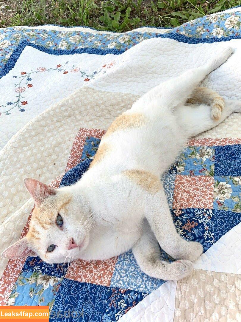 Kobaebeefboo leaked photo photo #0533