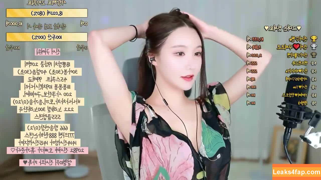 Korean BJ / Broadcast Jockeys / KBJ слитое фото фото #0104