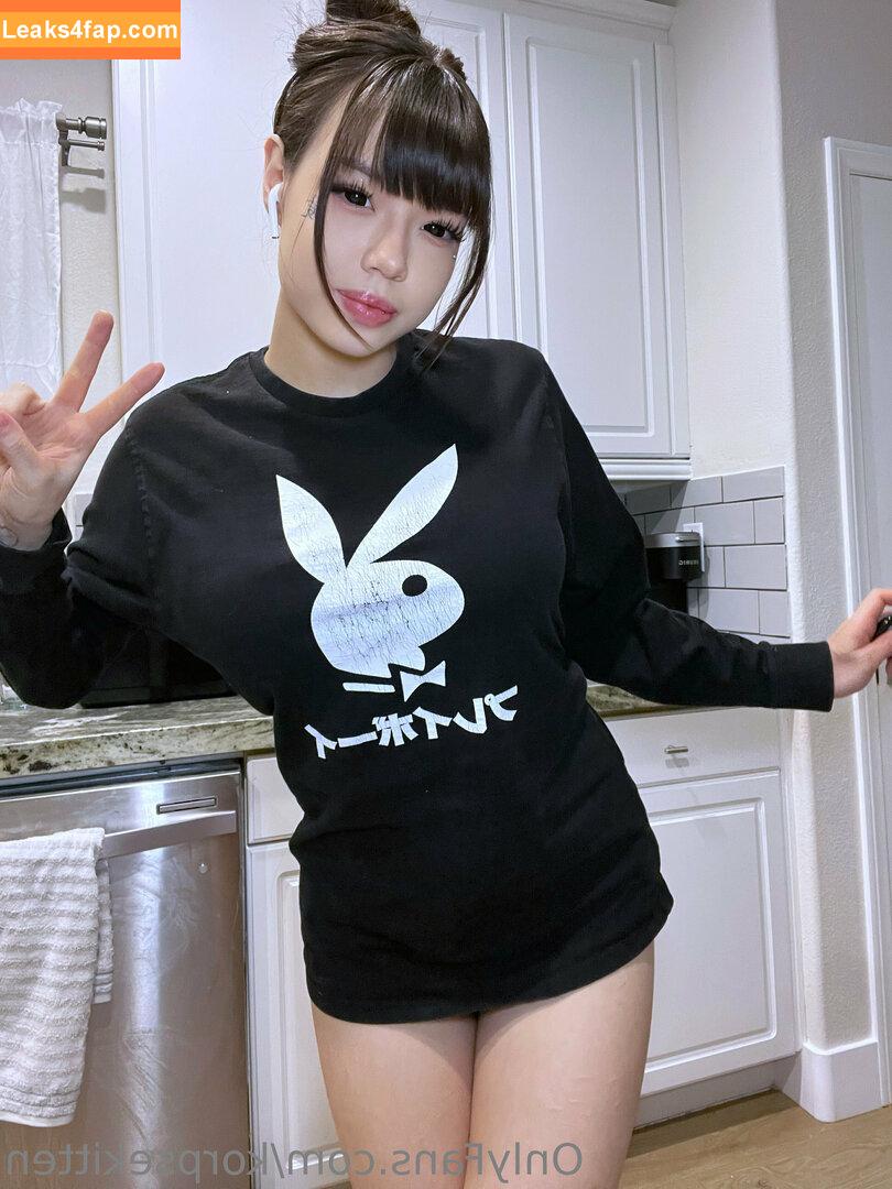 korpsekitten /  leaked photo photo #0084