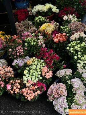 kristiina_fi photo #0001